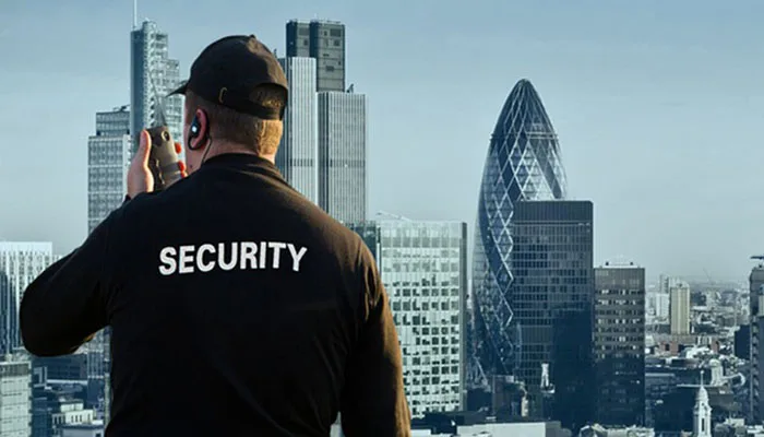 Professional Services - NG28
